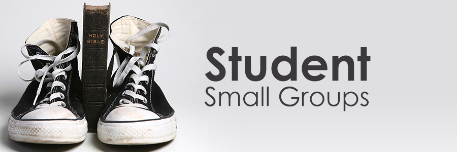 Student-Small-Groups